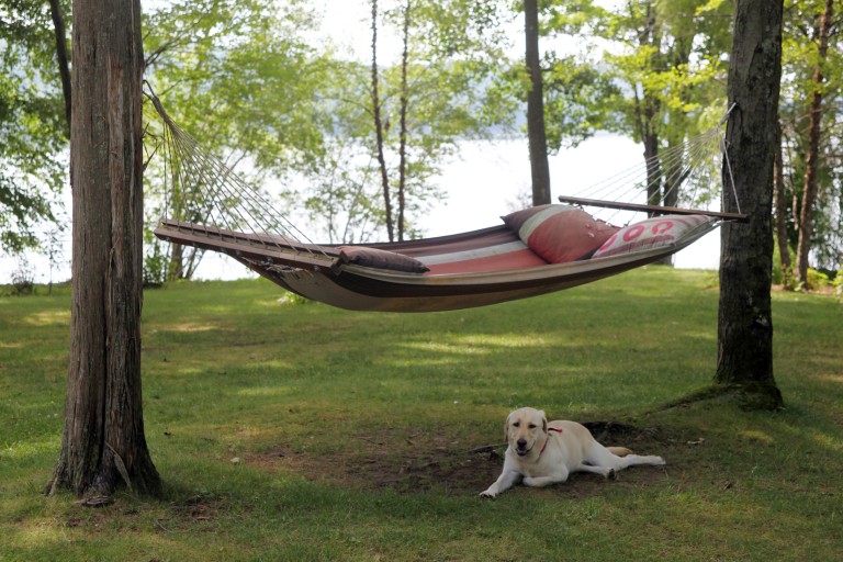 hammock2